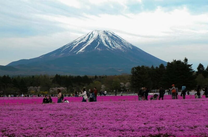 Tokyo: Private Mount Fuji Tour with Pickup and Drop-Off - Key Points