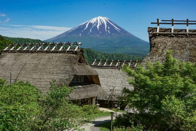 Tokyo: Private Mount Fuji Tour with Pickup and Drop-Off - Who Would Love This Tour?