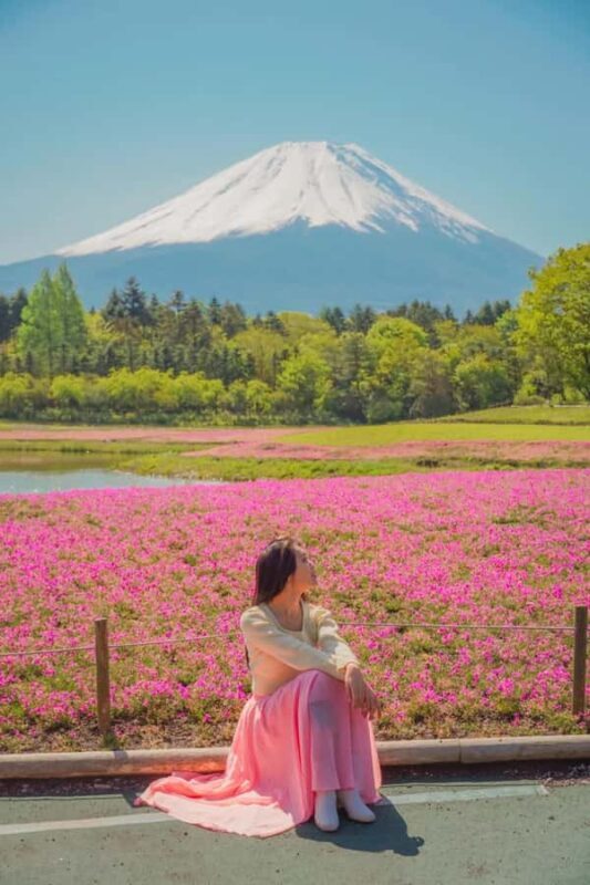 Tokyo: Private Mt. Fuji and Shibazakura Spring Tour - Final Thoughts