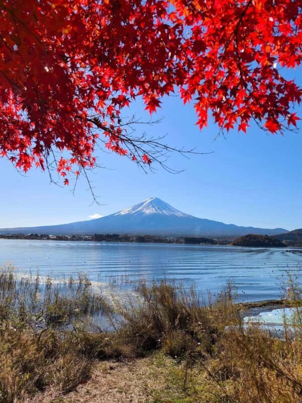 Tokyo: Private Mt.Fuji Day Trip with English-Speaking Driver - FAQ
