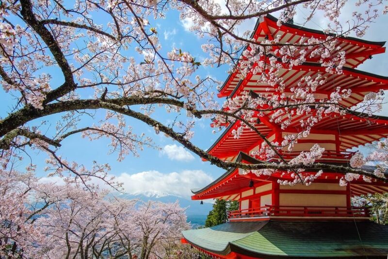 Tokyo: Private Mt.Fuji Day Trip with English-Speaking Driver - The Overall Experience