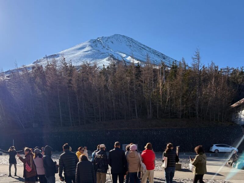 Tokyo: Private Mt. Fuji Day Trip with Local Guide - Why This Tour Might Be Perfect for You