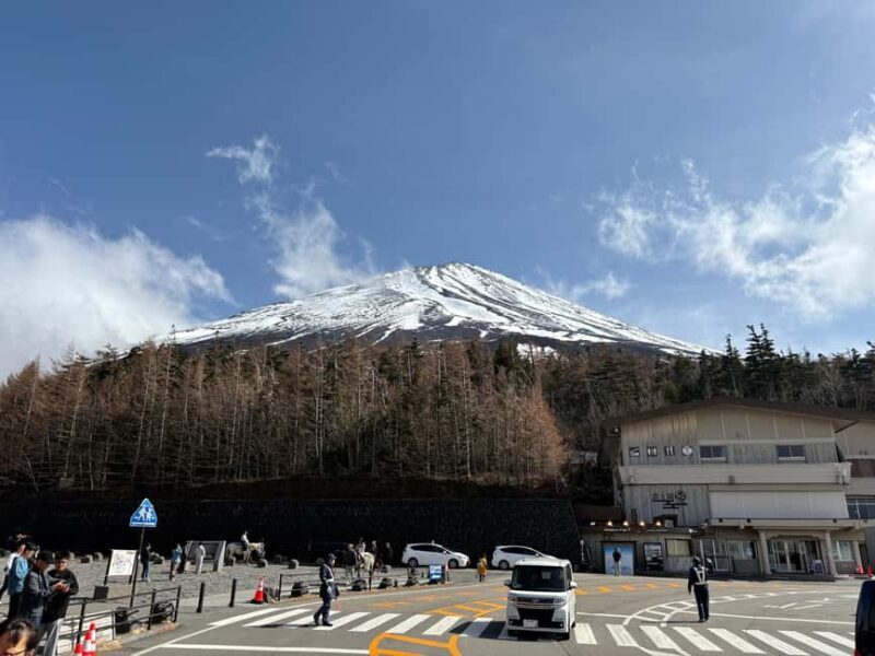 Tokyo: Private Mt. Fuji Day Trip with Local Guide - Who Is This Tour Best For?