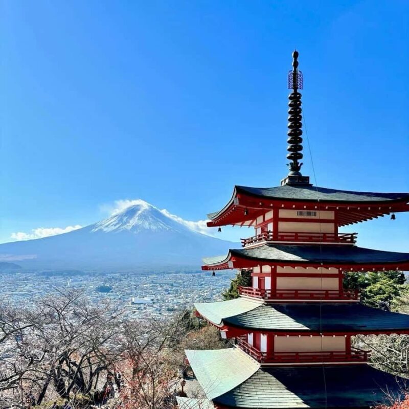 Tokyo: Private Mt. Fuji & Hakone Day Tour by Luxury Car - Key Points