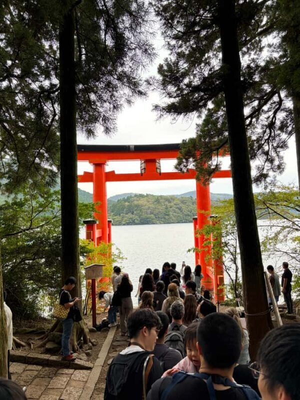 Tokyo: Private Mt. Fuji & Hakone Day Tour by Luxury Car - Who Will Love This Tour?