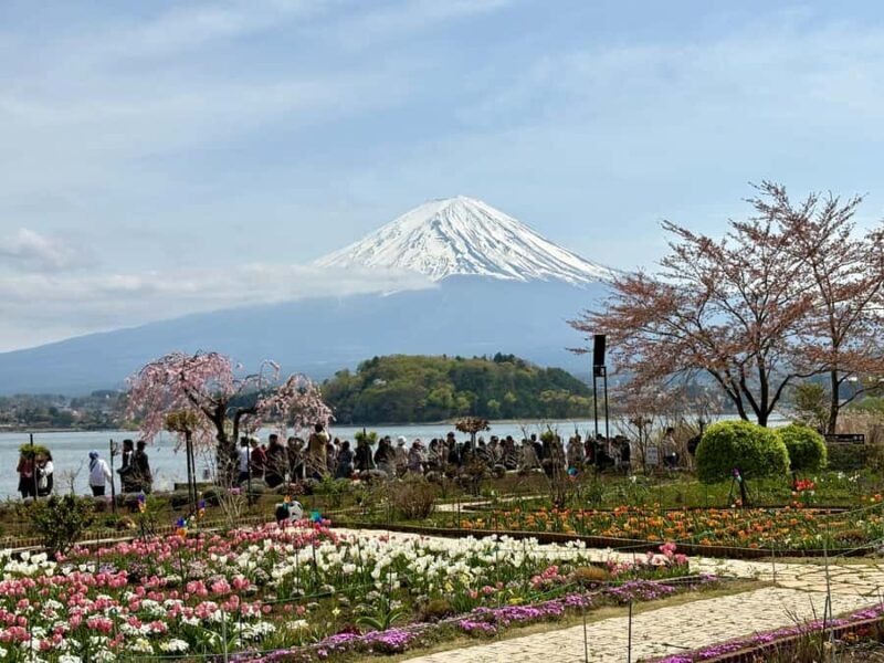 Tokyo: Private Mt. Fuji & Hakone Day Tour by Luxury Car - Final Thoughts: Is It Worth It?