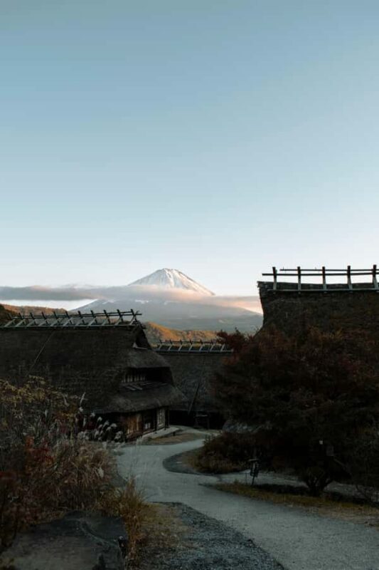 Tokyo: Private Mt. Fuji & Hakone Tour with English Driver - Final Thoughts