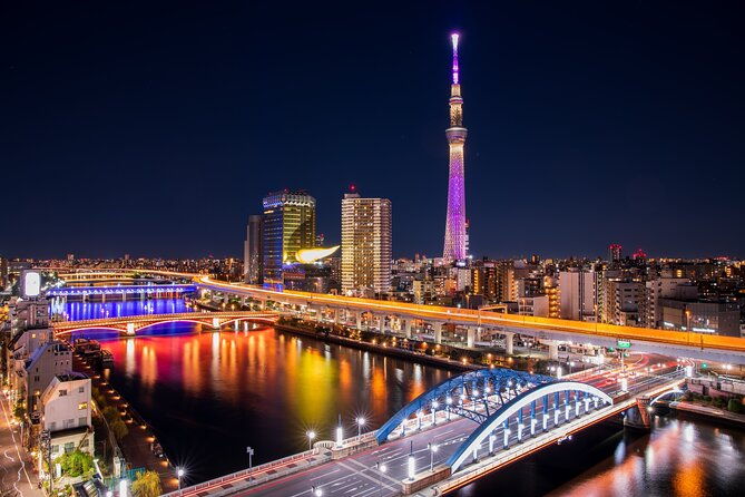 tokyo-private-night-tour-by-car-van-english-speaking-chauffeur