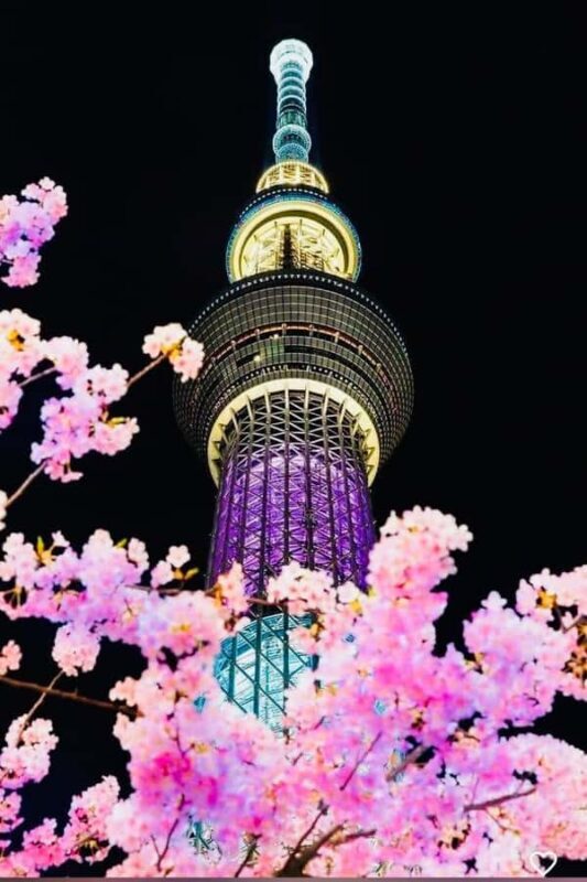 Tokyo: Private Night Tour with Hotel Pickup - Key Points