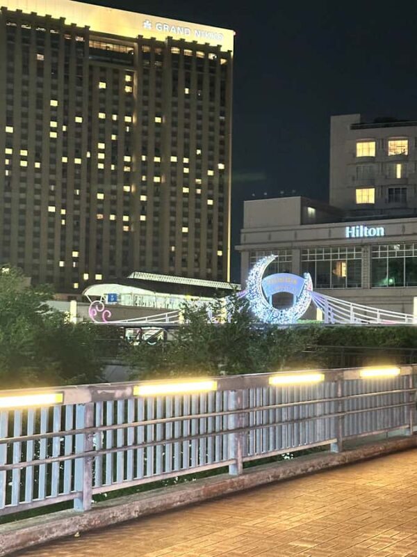 Tokyo: Private Night Tour with Hotel Pickup - Who Should Consider This Tour?