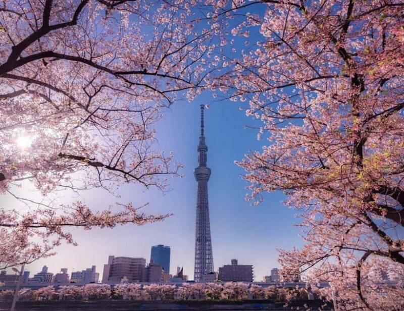 Tokyo: Private Nikko Day Tour of Temples, Lakes & Waterfalls - Pricing and Value