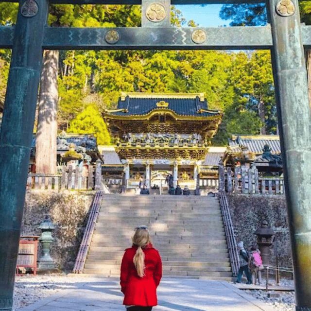 Tokyo: Private Nikko World Heritage Instagramable Day Tour - Key Points