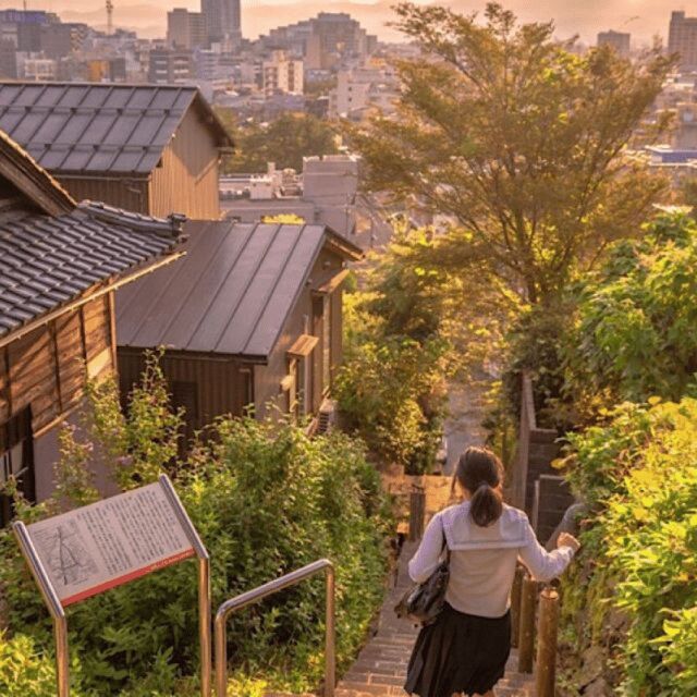 Tokyo: Private Nikko World Heritage Instagramable Day Tour - The Sum Up: Who Should Consider This Tour?