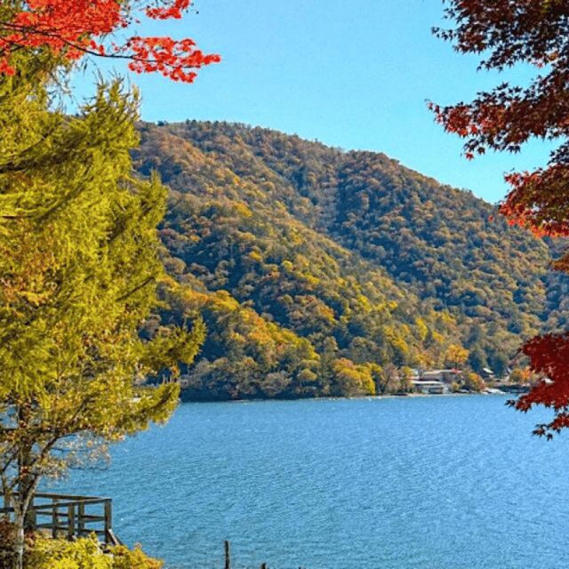 Tokyo: Private Nikko World Heritage Instagramable Day Tour - FAQ