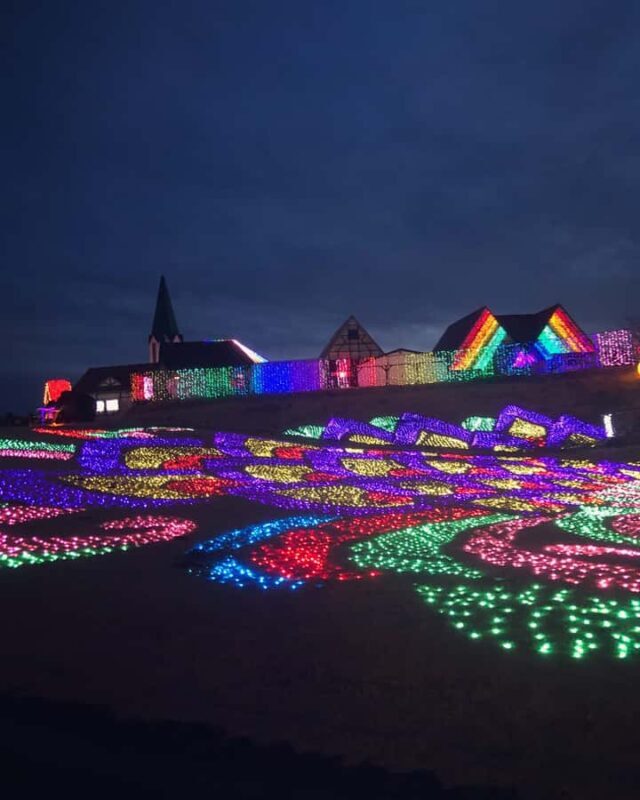 Tokyo Private One-Day Tour  Local Driver - The Value of a Private, Customizable Tokyo Day Tour