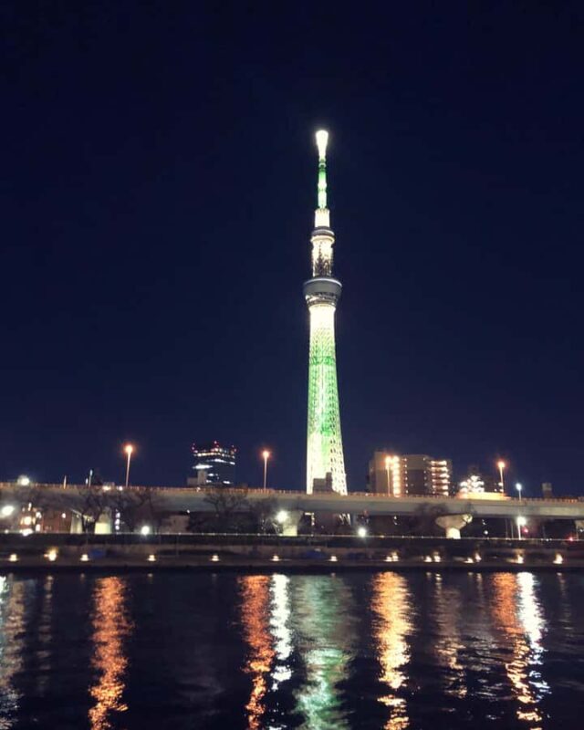 Tokyo Private One-Day Tour  Local Driver - Key Points