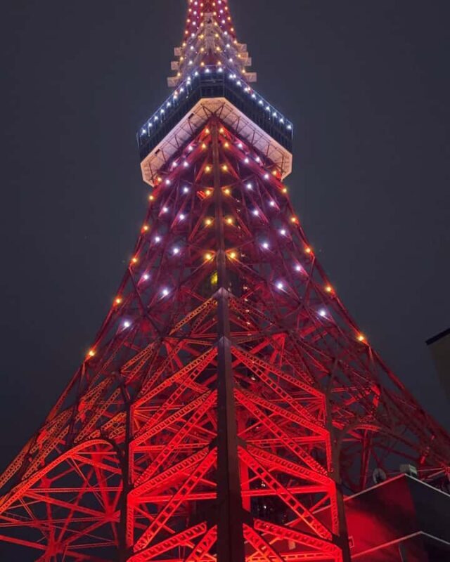 Tokyo Private One-Day Tour  Local Driver - The Sum Up