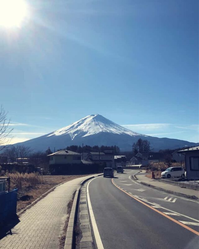 Tokyo Private One-Day Tour  Local Driver - FAQ