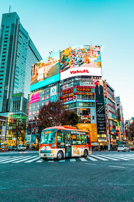 tokyo-private-personalized-walking-tours-with-local-guide
