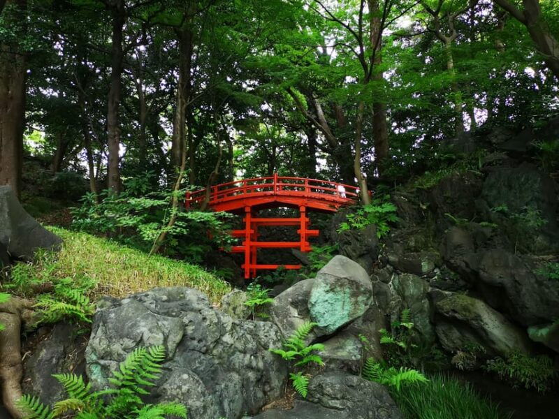 tokyo-private-personalized-walking-tours-with-local-guide