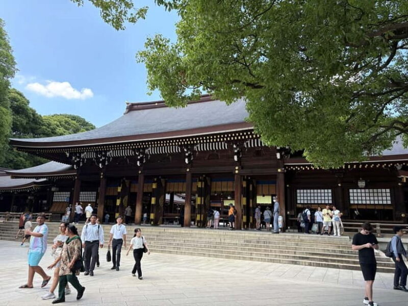 Tokyo: Private Shinto Shrines Tour by Car with Local Guide - FAQ