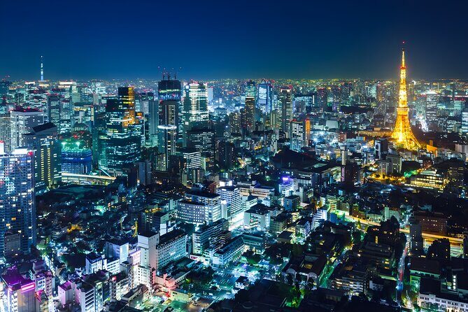 Tokyo Private Sightseeing Tour by Car and English Speaking Driver - Who Is This Tour Best Suited For?