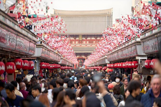Tokyo Private Sightseeing Tour by Car and English Speaking Driver - Key Points