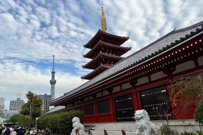 Tokyo Private Sightseeing Tour by Car with Local Guide - Final Thoughts