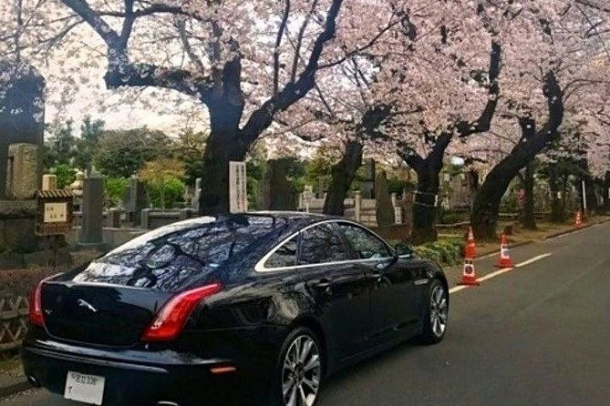 tokyo-private-sightseeing-tour-by-english-speaking-chauffeur