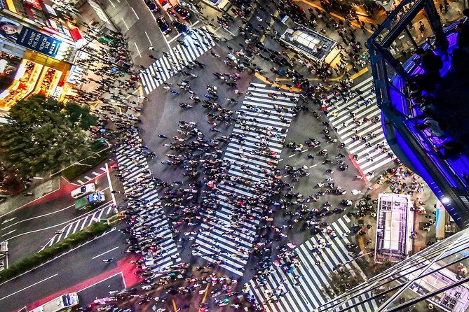 tokyo-private-sightseeing-tour-by-english-speaking-chauffeur