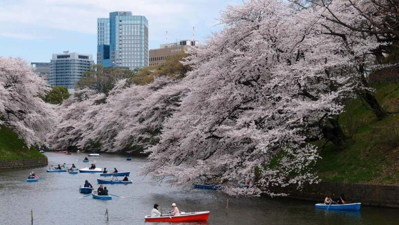 Tokyo Private Sightseeing Tour - Exploring Tokyo in Comfort and Style