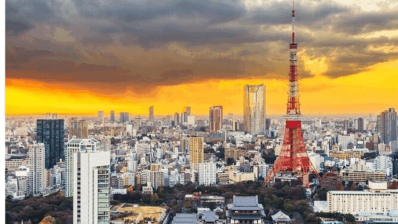 Tokyo: Private Tokyo City Must Seen Places By English Guide - Key Points
