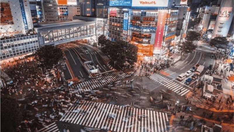 Tokyo: Private Tokyo City Must Seen Places By English Guide - Exploring Tokyo with a Private Guide: What to Expect