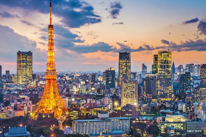 Tokyo Private Tour by Car/Van with English Speaking Driver - Why Choose This Tokyo Private Tour?