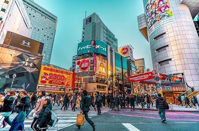 Tokyo Private Tour by Car/Van with English Speaking Driver - FAQs