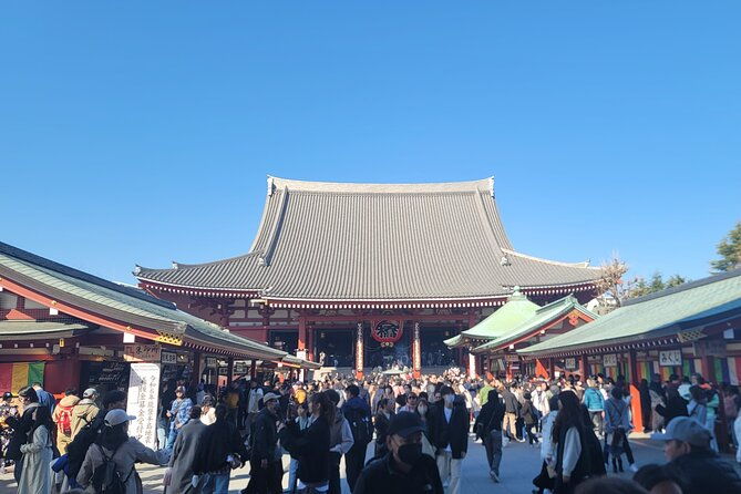 tokyo-private-tour-by-car-with-english-speaking-driver