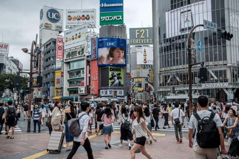 Tokyo Private Tour English Pro Guide By Luxury Vehicle - Who Should Consider This Tour?