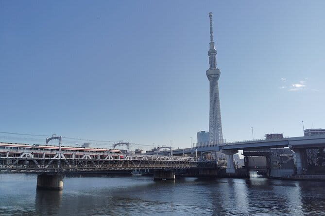 Tokyo Private Tour for First-Time Visitors - Final Thoughts: Who Is This Tour Perfect For?