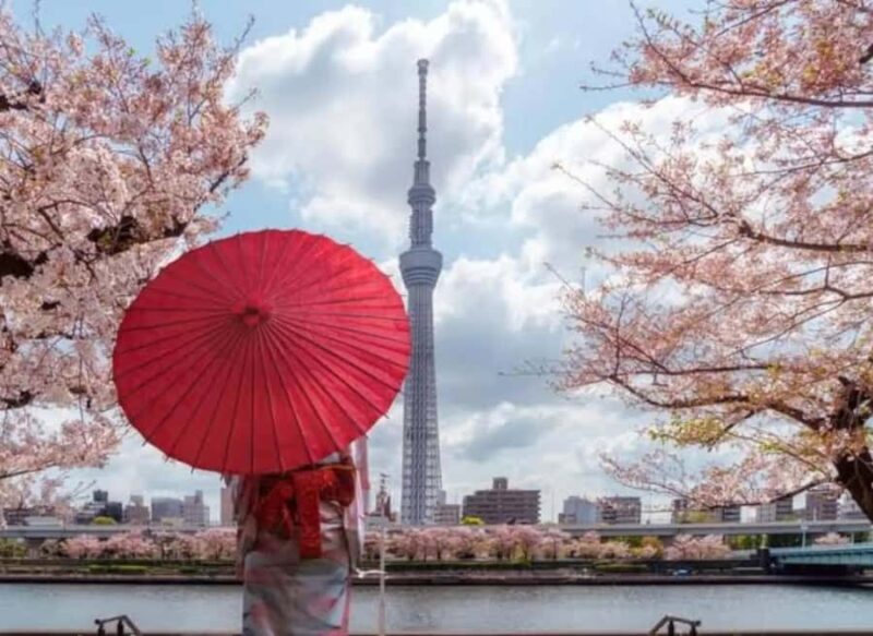 Tokyo Private Tour: Guide, Meals & Transfers Included - Who Would Love This Tour?