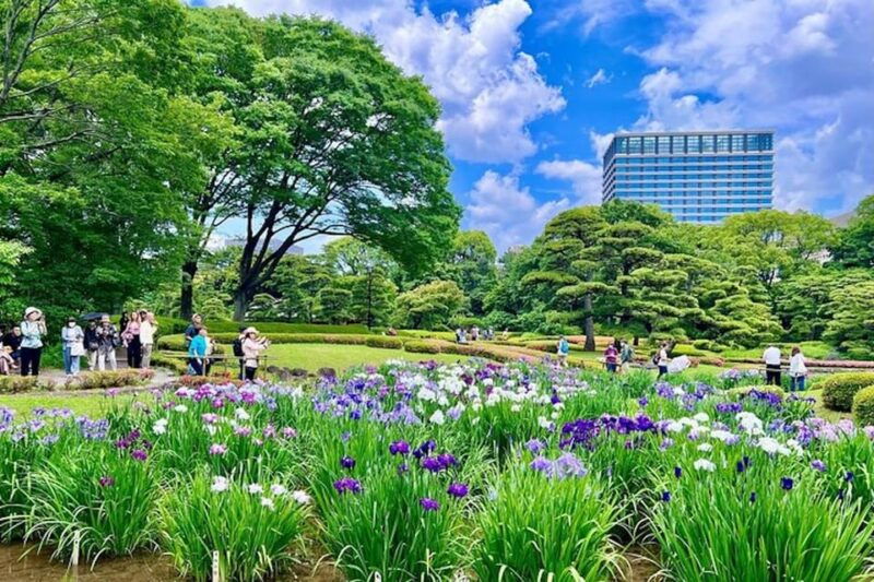 tokyo-private-tour-of-the-imperial-palace-east-gardens