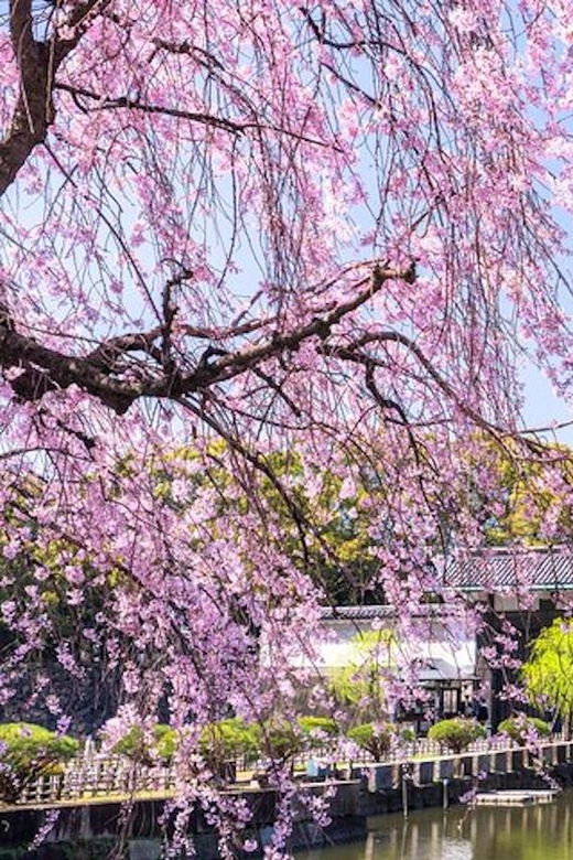 tokyo-private-tour-of-the-imperial-palace-east-gardens