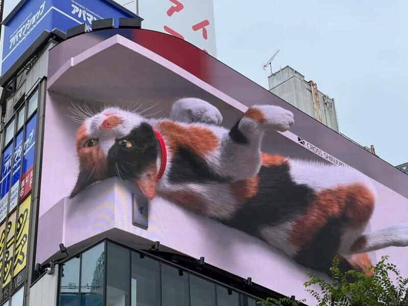 Tokyo: Private Tour of Tokyo - Akihabara: Japan’s Otaku and Electronics Hub