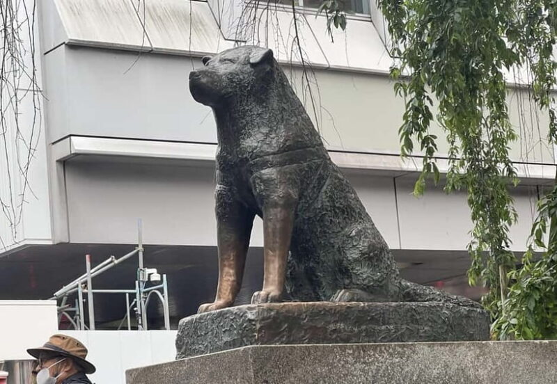 Tokyo: Private Tour of Tokyo - Shinjuku: Tokyo’s Skyline and Nightlife