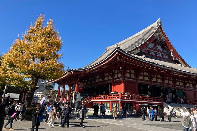 Tokyo Private Tour: One Day Highlights and Optional Shibuya Sky - FAQ