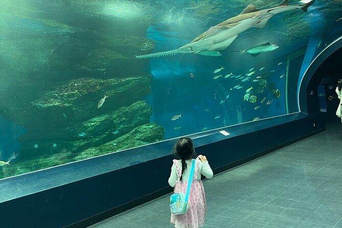 Tokyo Private Tour with a Kid~Friendly Guide - Tokyo Private Tour with a Kid-Friendly Guide: An Honest Look