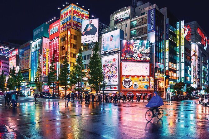Tokyo Private Tour with English Speaking Driver Customizable - An In-Depth Look at the Tour Itinerary