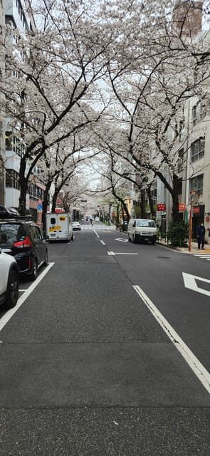 Tokyo Private Tour With English Speaking Driver - Key Points