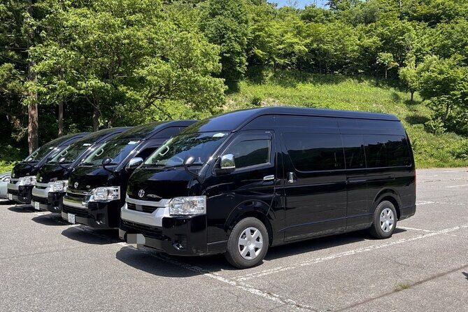 Tokyo Private Transfer Between Narita Airport and Tokyo - Who is This Transfer Best For?