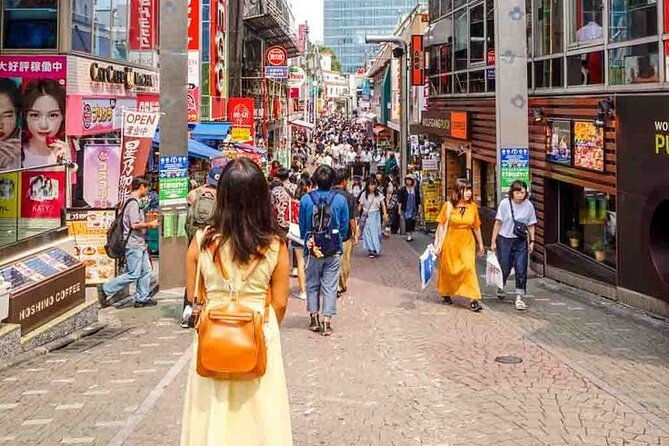 tokyo-private-trip-with-english-speaking-driver