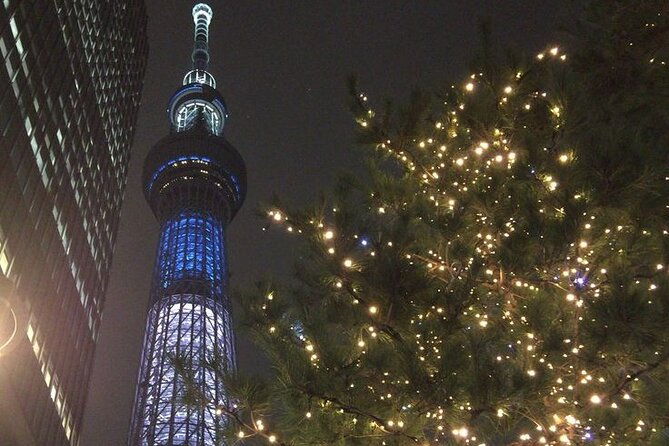 tokyo-private-trip-with-english-speaking-driver